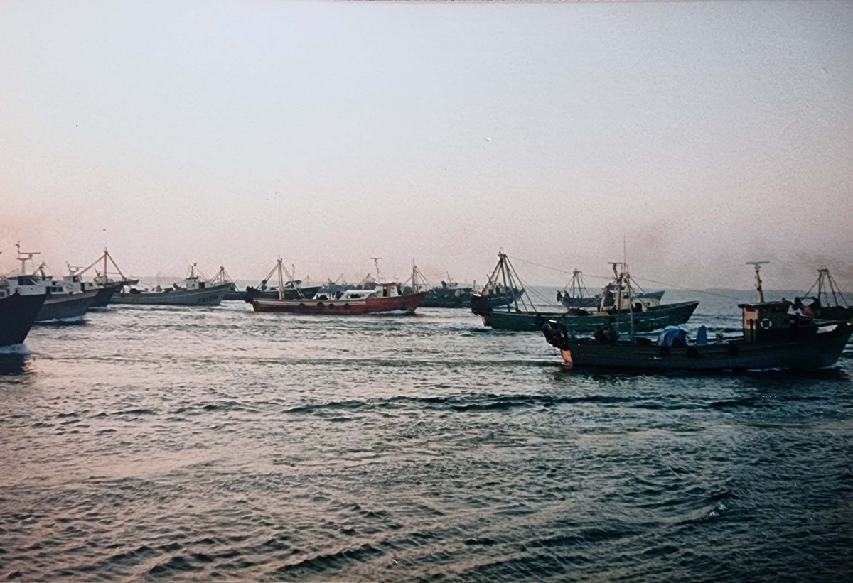 Imagen de Capitol 5 - 1990